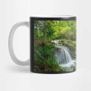 WATERFALLS Mug